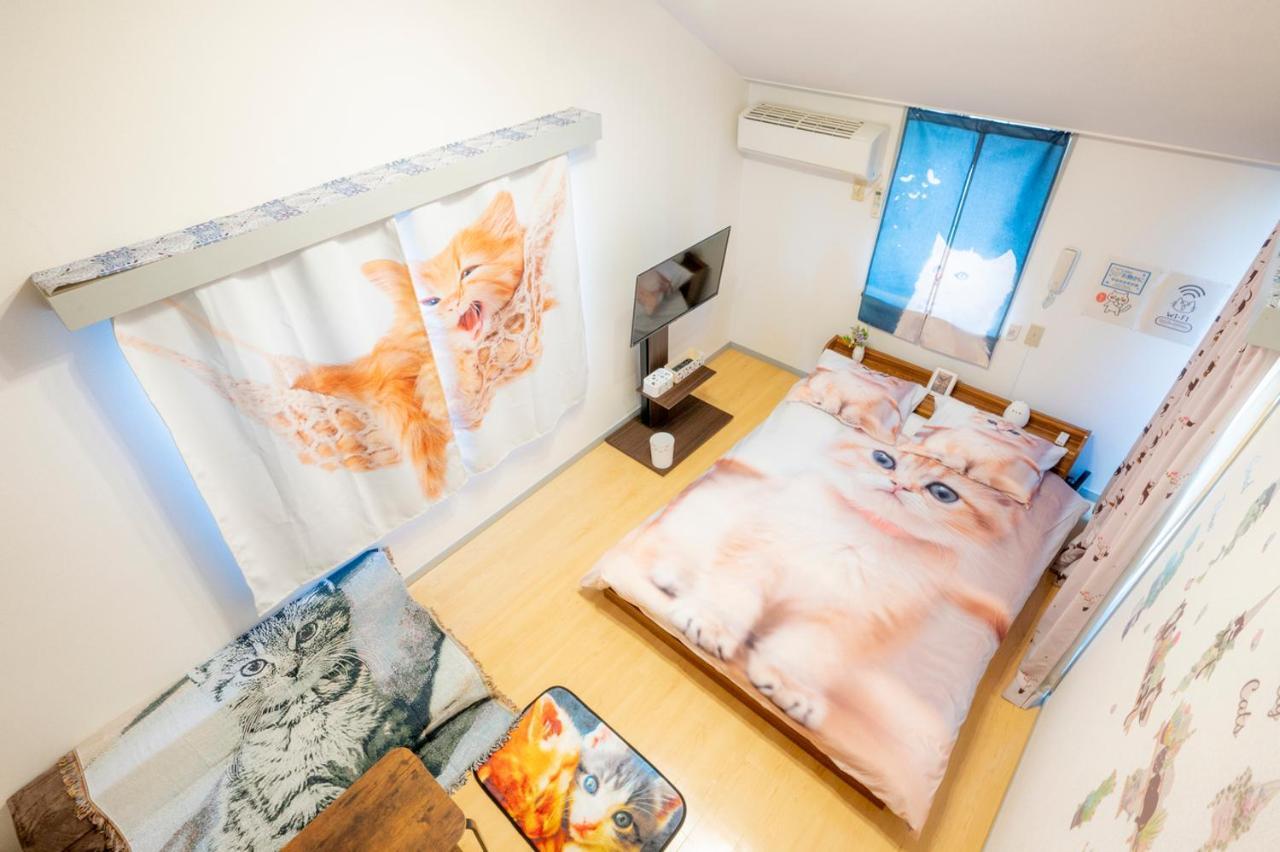 Shibuya Shinjyuku Cat House ! Tokyo prefektur