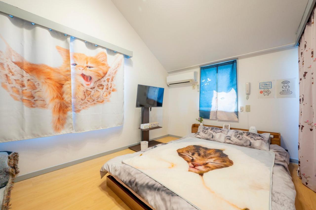 Shibuya Shinjyuku Cat House ! * Tokyo prefektur