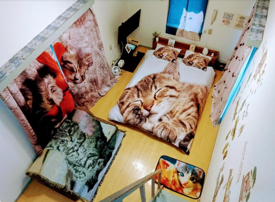 Lägenhet Shibuya Shinjyuku Cat House ! Tokyo prefektur