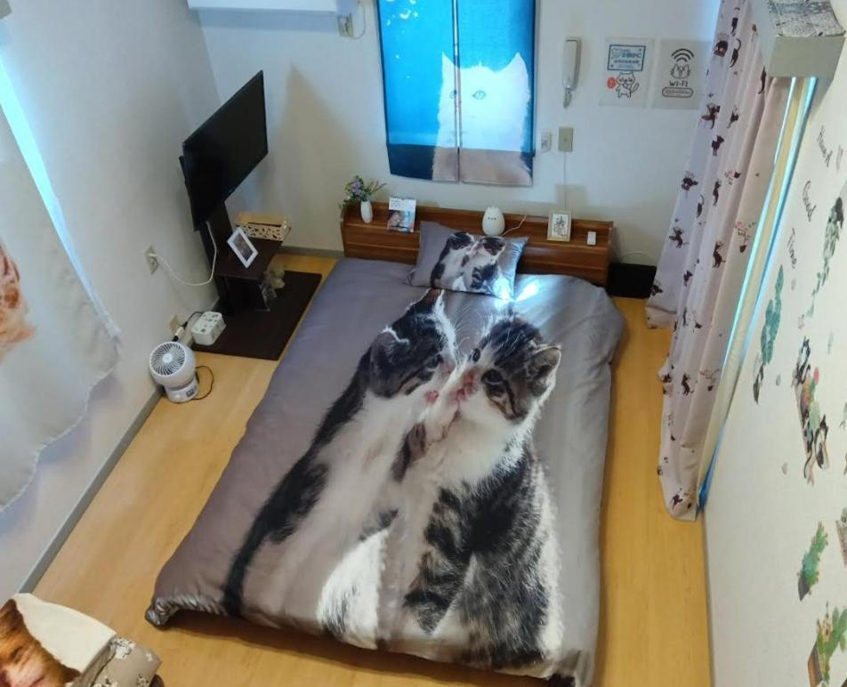 Lägenhet Shibuya Shinjyuku Cat House ! Tokyo prefektur