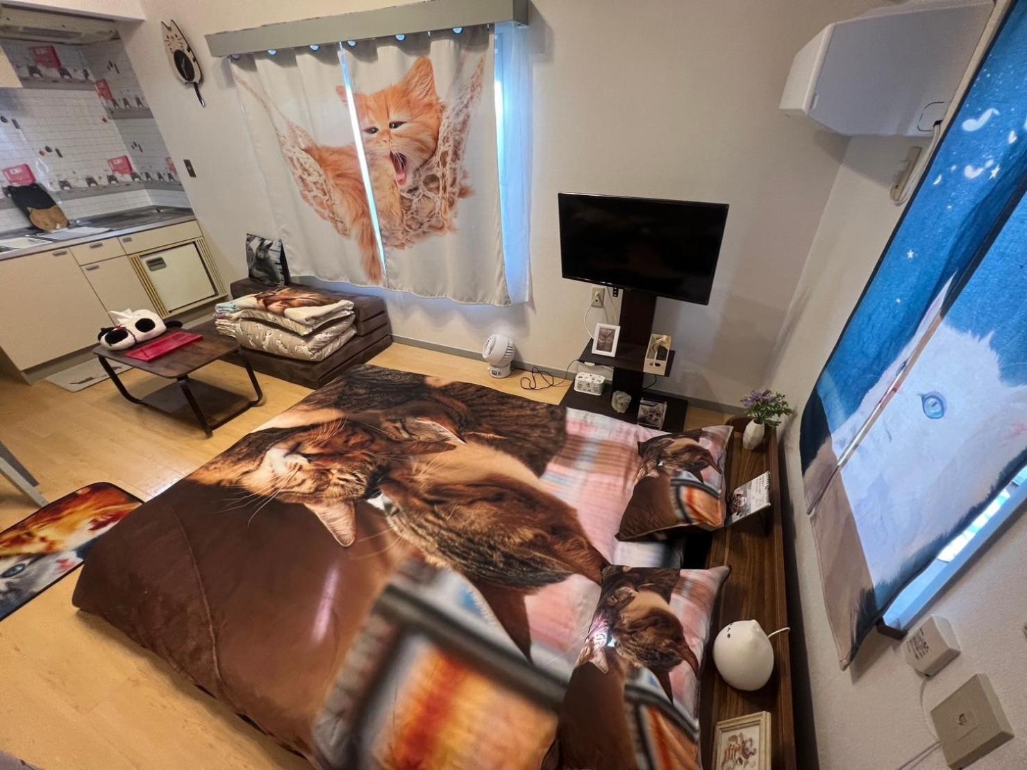 Shibuya Shinjyuku Cat House ! * Tokyo prefektur