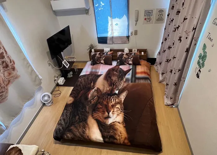 Tokyo Shibuya Shinjyuku Cat House !